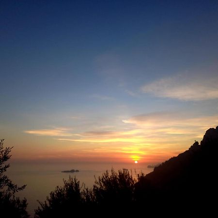 L'Uliveto Bed and Breakfast Ποζιτάνο Εξωτερικό φωτογραφία