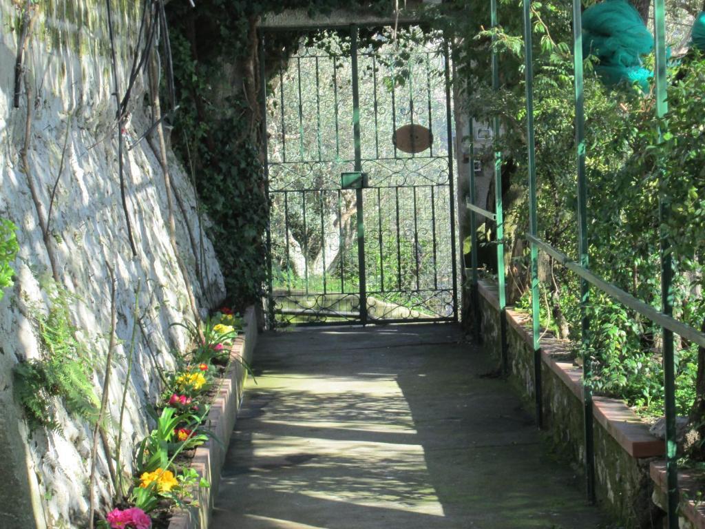 L'Uliveto Bed and Breakfast Ποζιτάνο Εξωτερικό φωτογραφία