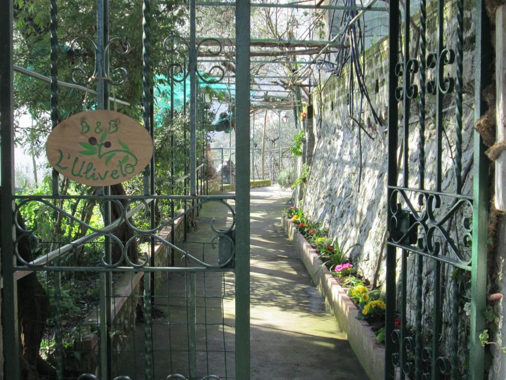 L'Uliveto Bed and Breakfast Ποζιτάνο Εξωτερικό φωτογραφία