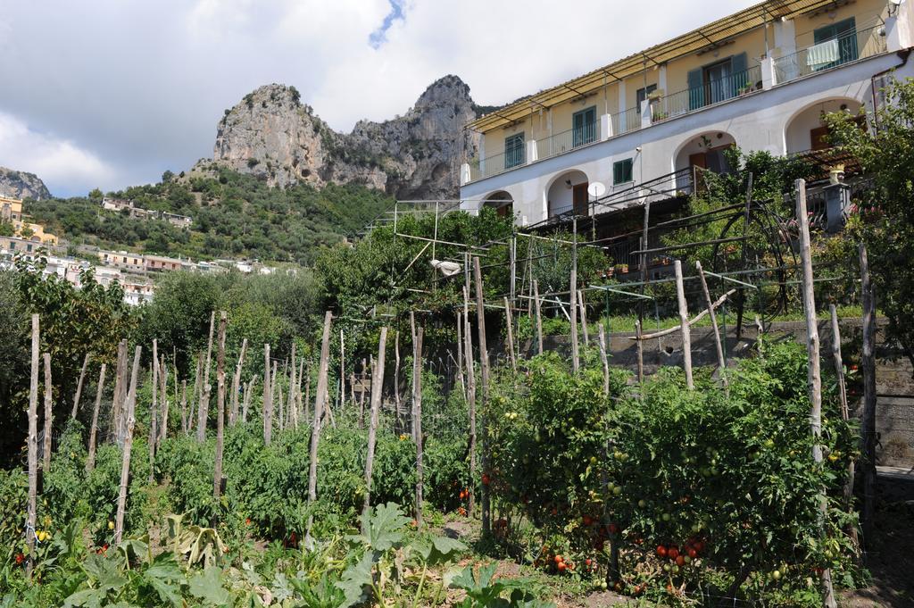 L'Uliveto Bed and Breakfast Ποζιτάνο Εξωτερικό φωτογραφία