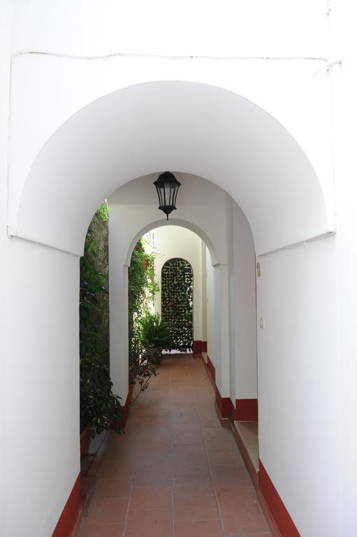L'Uliveto Bed and Breakfast Ποζιτάνο Εξωτερικό φωτογραφία