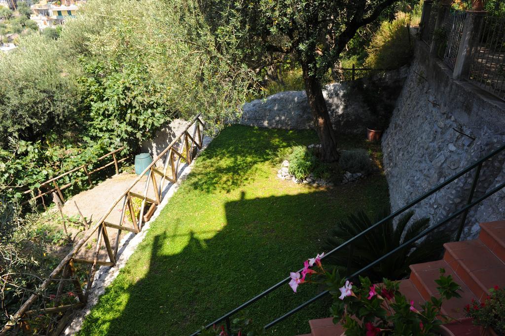 L'Uliveto Bed and Breakfast Ποζιτάνο Εξωτερικό φωτογραφία